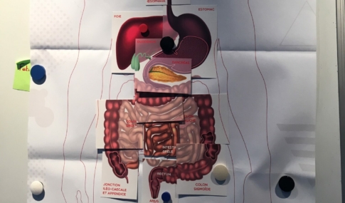 illustration Reprise des ateliers « Maladie de Crohn et rectocolite hémorragique »